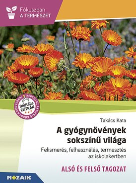 Book MS-4307