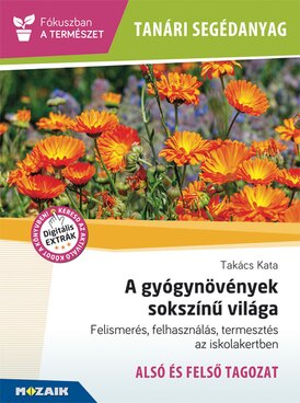 Book MS-4308