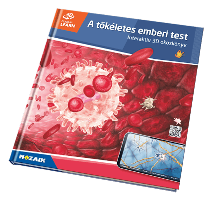 20 kötetes sorozat, 800 3D-jelenettel
