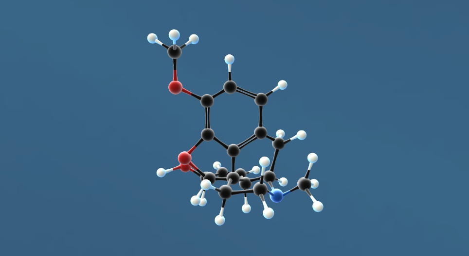 Kode In Kodein - 3D-modell - Mozaik digitális oktatás és tanulás