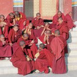 Tibeti buddhista szerzetesek