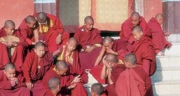 Tibeti buddhista szerzetesek