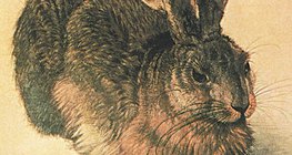 Albrecht Dürer: Nyúl (1502)