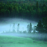 Misty dawn