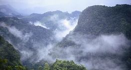 A Selva Lacandona dzsungele