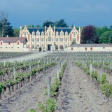 Szőlősorok Bordeaux környékén, a leghíresebb francia vörösborok hazájában