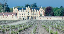 Szőlősorok Bordeaux környékén, a leghíresebb francia vörösborok hazájában
