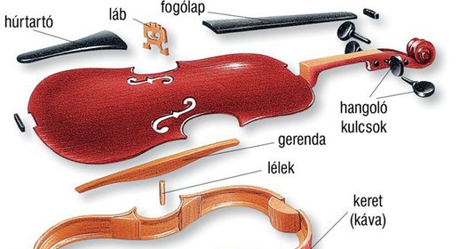 Lexikon - Képek - Mozaik digitális oktatás és tanulás
