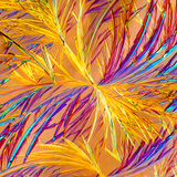 Aminophylline (medicine) crystals
