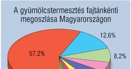 Kördiagram