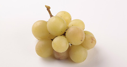 Szőlő