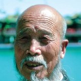 Mongolid