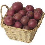 Burgonya