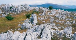 Karsztos táj karrokkal