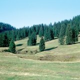 Dolina