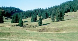 Dolina