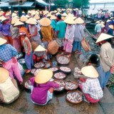 Halpiac Vietnamban