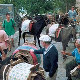„Taxiállomás” Ródosz szigetén