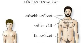Férfivé válás