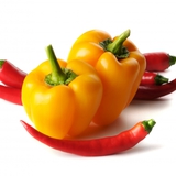 Paprika