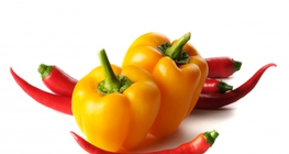Paprika