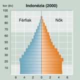 Harang alakú korfa