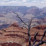 A Grand Canyon