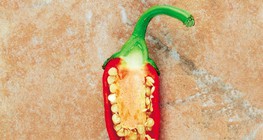 Paprika
