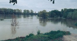 Vízszintingadozás a Dunán – 1