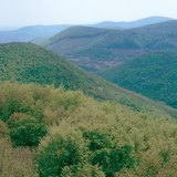 Röghegység