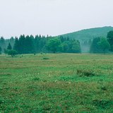 A Bükk-fennsík