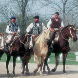 Argentin marhapásztorok, a gauchók