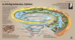 Az élővilág kialakulása, fejlődése