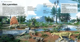 Élet a permben