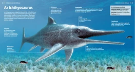 Az Ichthyosaurus