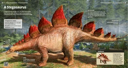 A Stegosaurus