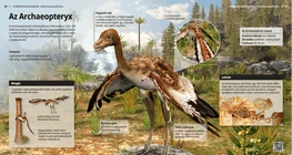 Az Archaeopteryx