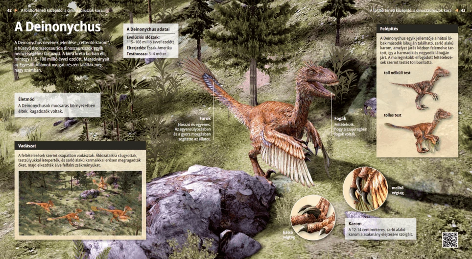 A Deinonychus