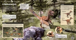 A Deinonychus