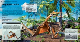 A Quetzalcoatlus