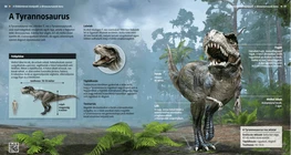 A Tyrannosaurus