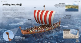 A viking hosszúhajó