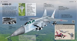 A MiG–31