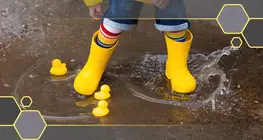 A kaucsuk és a gumi