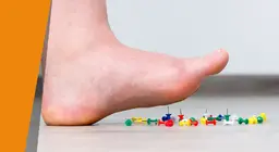 Eltűnő érzékek 