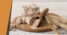 Éledő élesztő