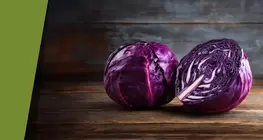 A kétszínű vörös káposzta